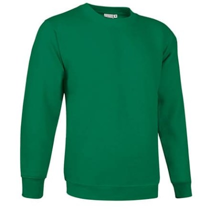 Φούτερ μπλούζα Βαριά 300γρ (VL 55440 Dublin) - Πράσινο - Kelly Green