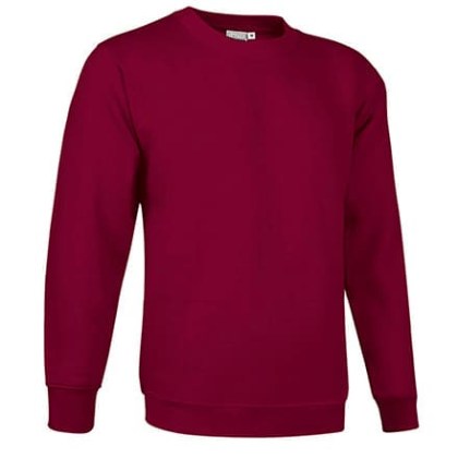 Φούτερ μπλούζα Βαριά 300γρ (VL 55440 Dublin) - Μπορντό - Mahogany Garnet