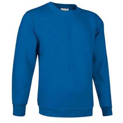 Φούτερ μπλούζα Βαριά 300γρ (VL 55440 Dublin) - Μπλε Ρουά - Royal Blue