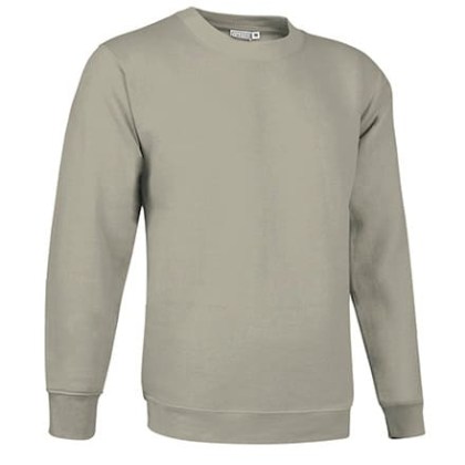 Φούτερ μπλούζα Βαριά 300γρ (VL 55440 Dublin) - Μπεζ - Sand Beige